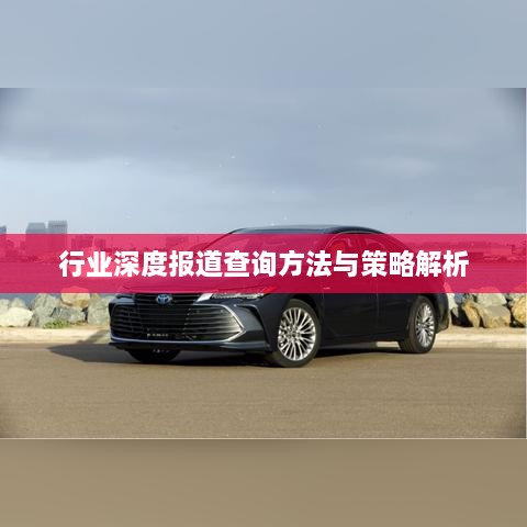 行业深度报道查询方法与策略解析