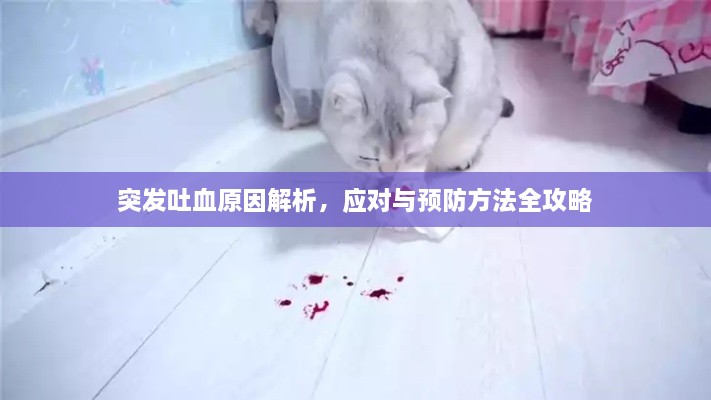 突发吐血原因解析，应对与预防方法全攻略