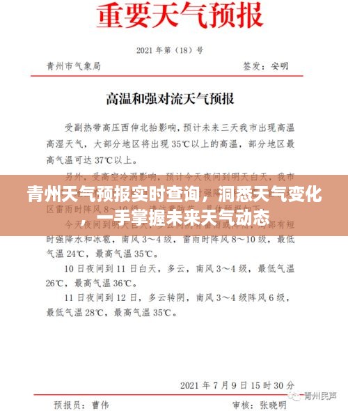 十全十美