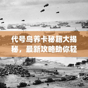 代号鸟养卡秘籍大揭秘，最新攻略助你轻松养卡！