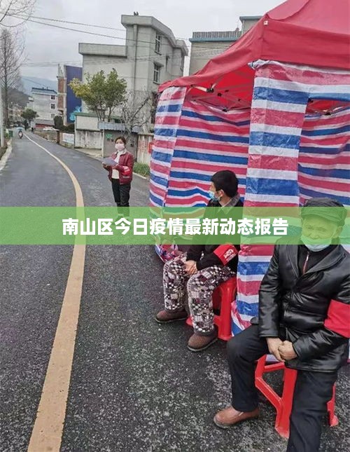 南山区今日疫情最新动态报告