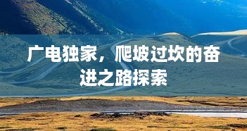 成功案例 第36页