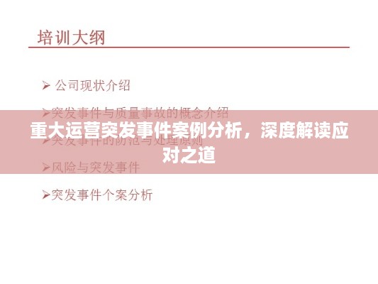 重大运营突发事件案例分析，深度解读应对之道