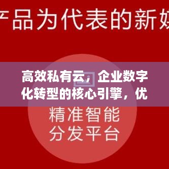 高效私有云，企业数字化转型的核心引擎，优势揭秘！