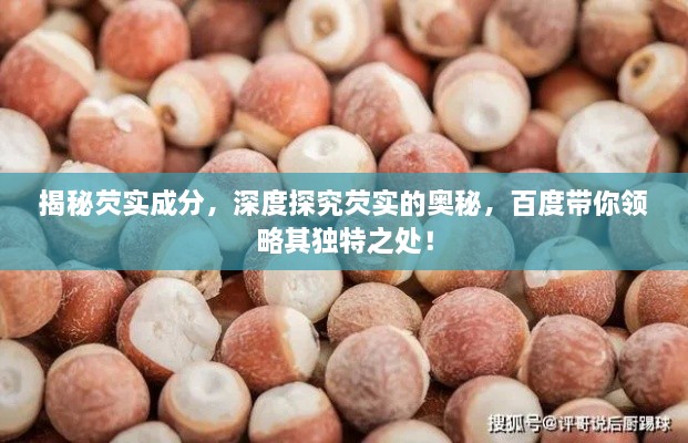 揭秘芡实成分，深度探究芡实的奥秘，百度带你领略其独特之处！