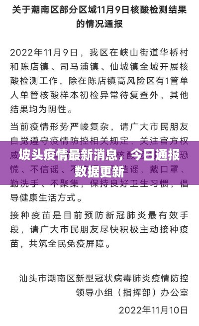 坡头疫情最新消息，今日通报数据更新