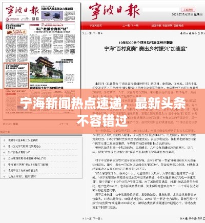 宁海新闻热点速递，最新头条不容错过