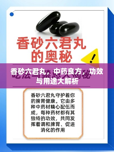 香砂六君丸，中药良方，功效与用途大解析