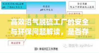 高效沼气脱硫工厂的安全与环保问题解读，是否存在安全隐患？