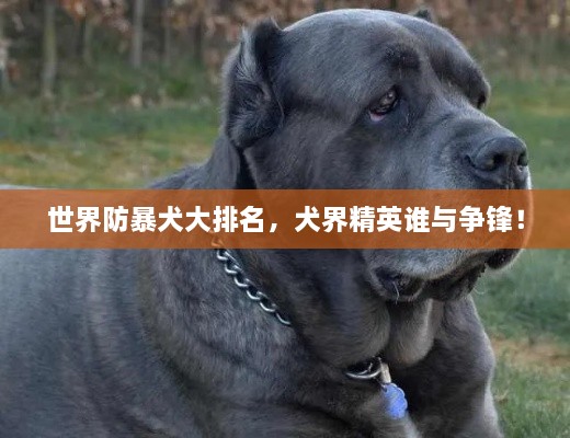 成功案例 第20页