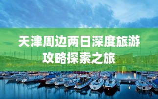 鞭驽策蹇