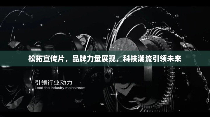 关于我们 第13页