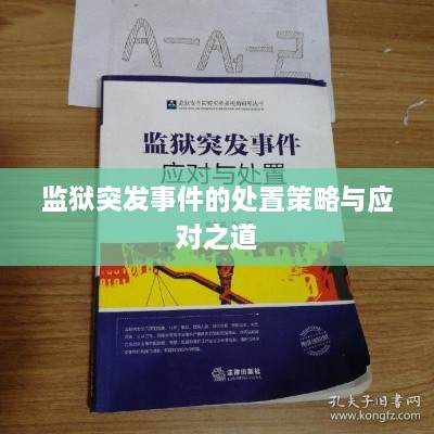 监狱突发事件的处置策略与应对之道