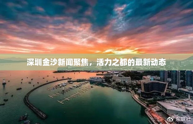 深圳金沙新闻聚焦，活力之都的最新动态