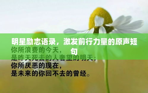 明星励志语录，激发前行力量的原声短句