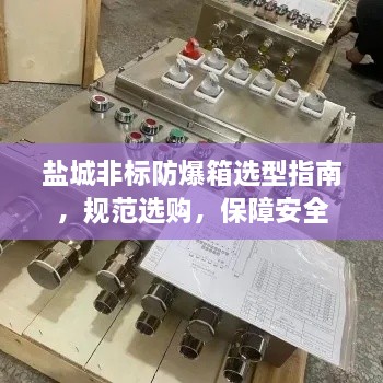 盐城非标防爆箱选型指南，规范选购，保障安全