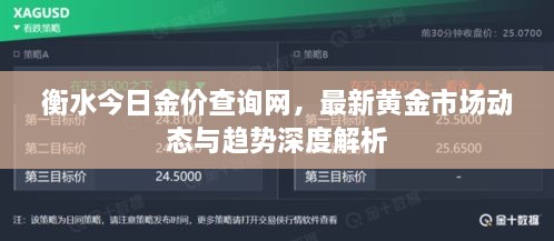 衡水今日金价查询网，最新黄金市场动态与趋势深度解析