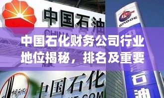 中国石化财务公司行业地位揭秘，排名及重要性不容小觑