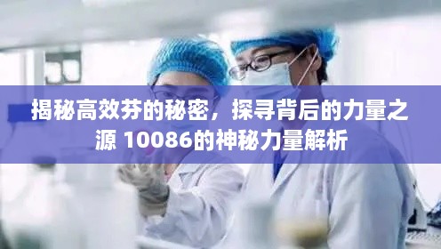 揭秘高效芬的秘密，探寻背后的力量之源 10086的神秘力量解析