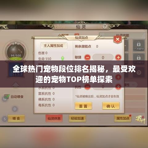 全球热门宠物段位排名揭秘，最受欢迎的宠物TOP榜单探索