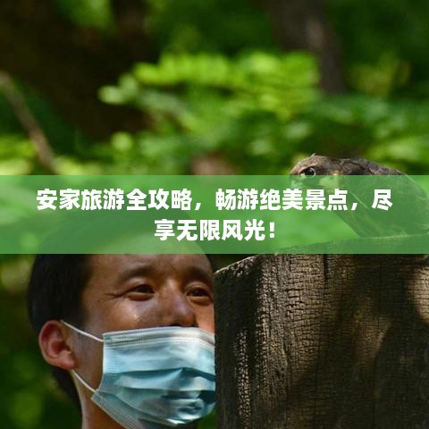 安家旅游全攻略，畅游绝美景点，尽享无限风光！