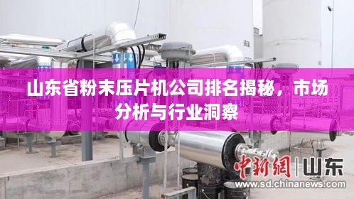 山东省粉末压片机公司排名揭秘，市场分析与行业洞察