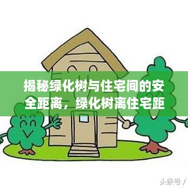 揭秘绿化树与住宅间的安全距离，绿化树离住宅距离规范全解析