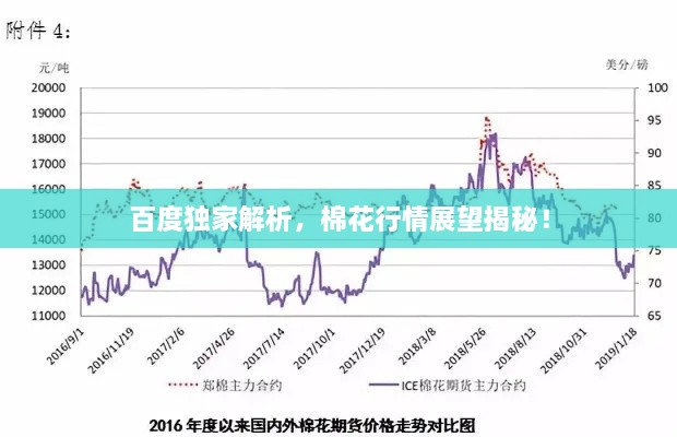百度独家解析，棉花行情展望揭秘！