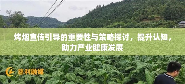 烤烟宣传引导的重要性与策略探讨，提升认知，助力产业健康发展