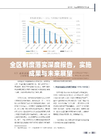 全区制度落实深度报告，实施成果与未来展望