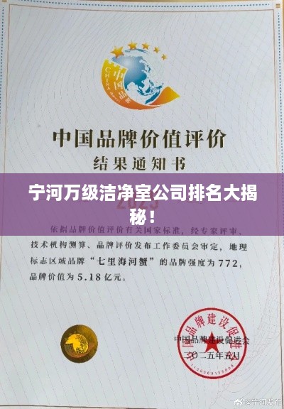 宁河万级洁净室公司排名大揭秘！