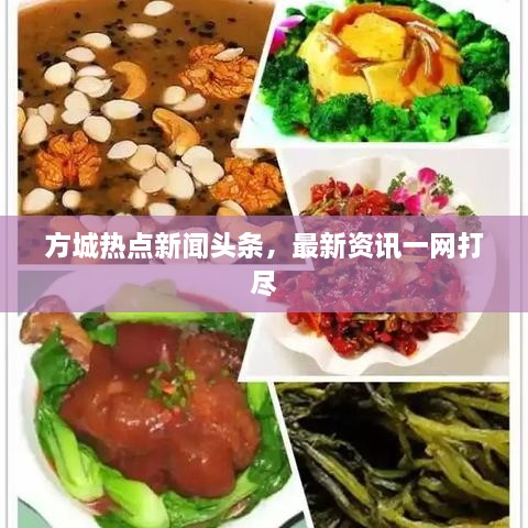 方城热点新闻头条，最新资讯一网打尽