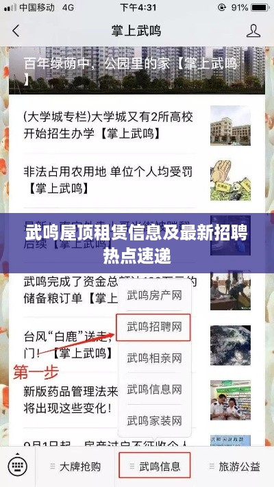 武鸣屋顶租赁信息及最新招聘热点速递