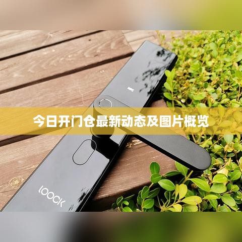 今日开门仓最新动态及图片概览