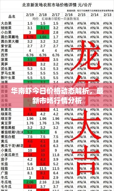 华南虾今日价格动态解析，最新市场行情分析