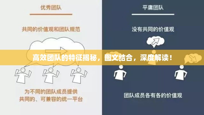 高效团队的特征揭秘，图文结合，深度解读！
