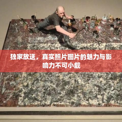 独家放送，真实照片图片的魅力与影响力不可小觑