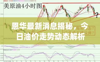 恩华最新消息揭秘，今日油价走势动态解析