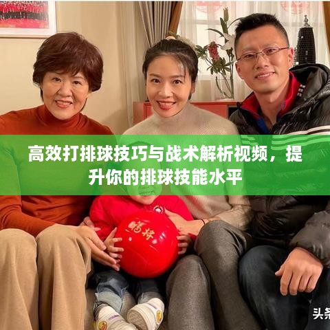高效打排球技巧与战术解析视频，提升你的排球技能水平