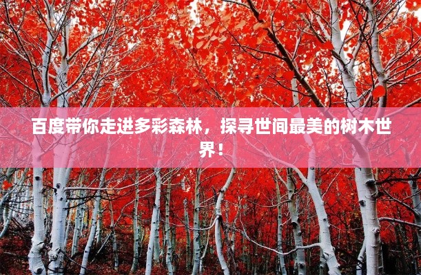 百度带你走进多彩森林，探寻世间最美的树木世界！