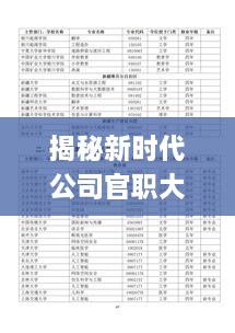 揭秘新时代公司官职大小排名及其背后的深层内涵