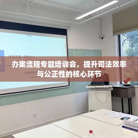 办案流程专题培训会，提升司法效率与公正性的核心环节