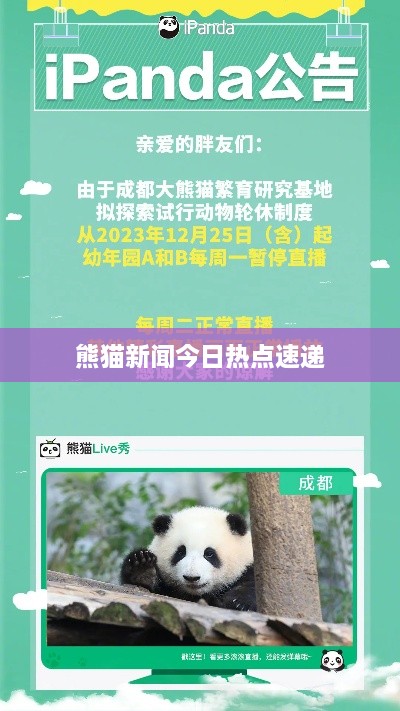 熊猫新闻今日热点速递