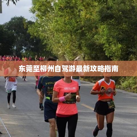 东莞至柳州自驾游最新攻略指南
